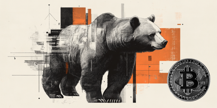 Bitcoin’s New Peak: What’s Next?