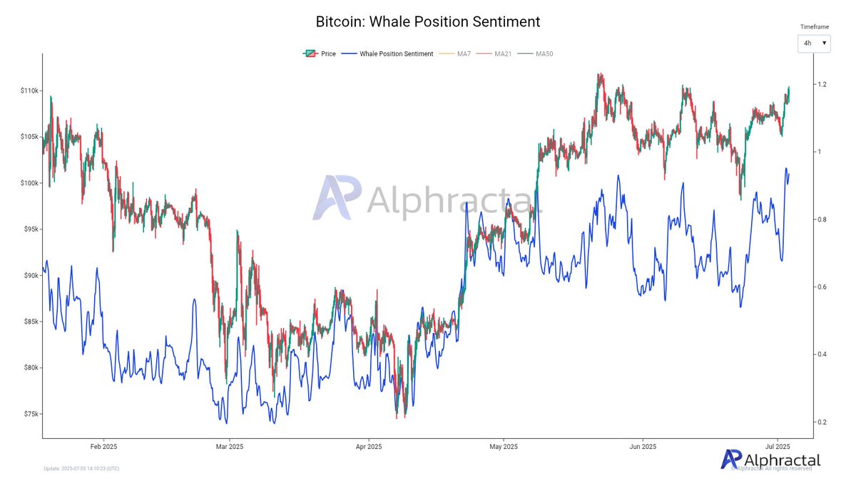 Bitcoin Whale Activity