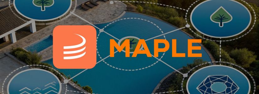 How Does Maple Finance Work?