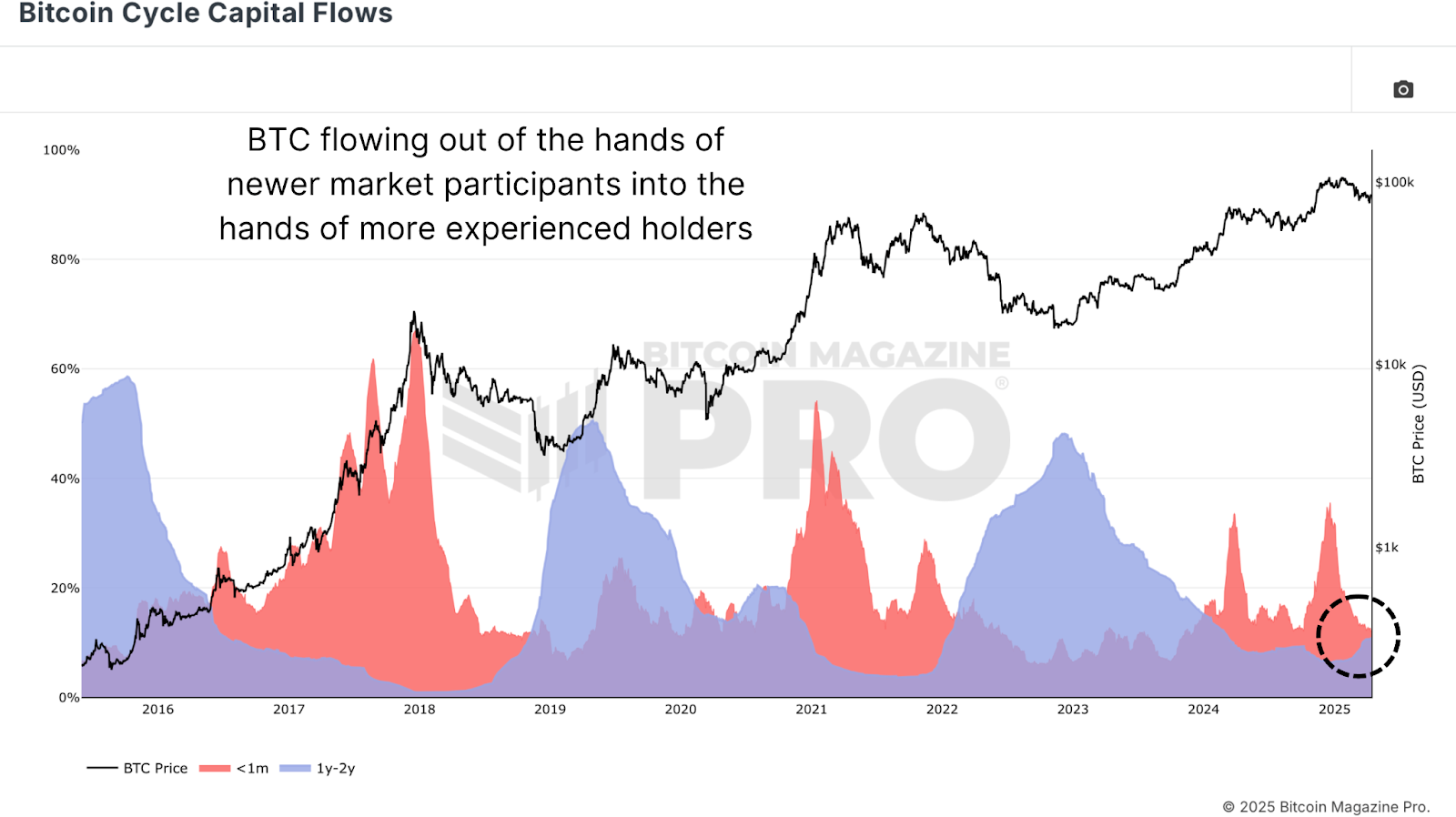 Bitcoin Cycle Capital Flows 2025 Analysis