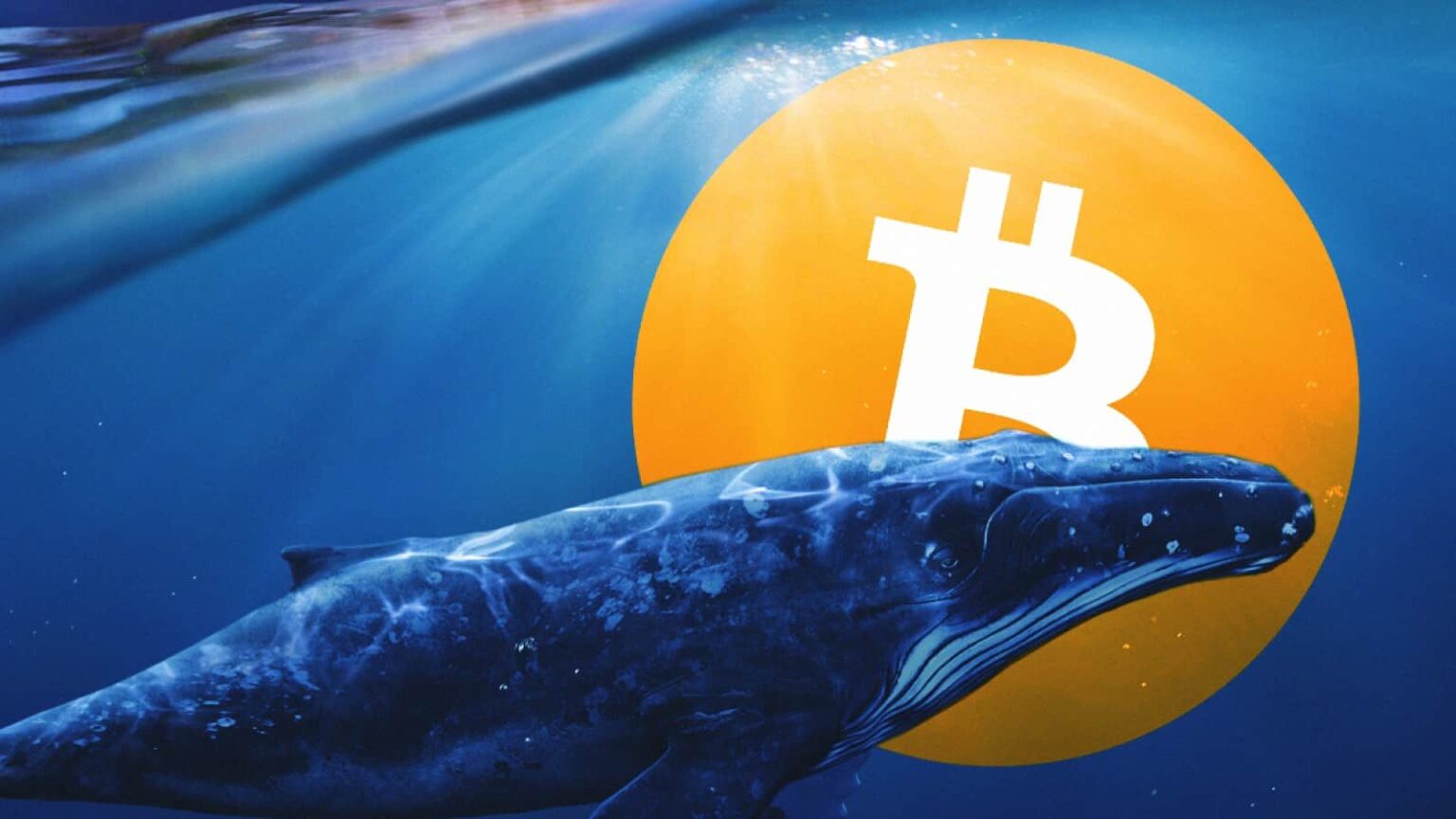 Whale Watch: Bitcoin’s Big Gamble