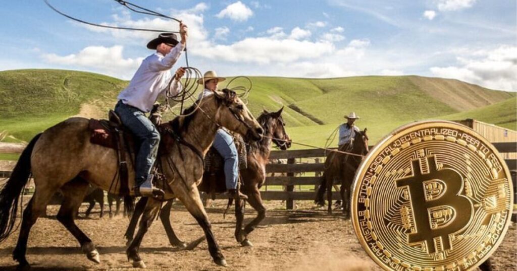 Wyoming: Crypto’s Last Stand?