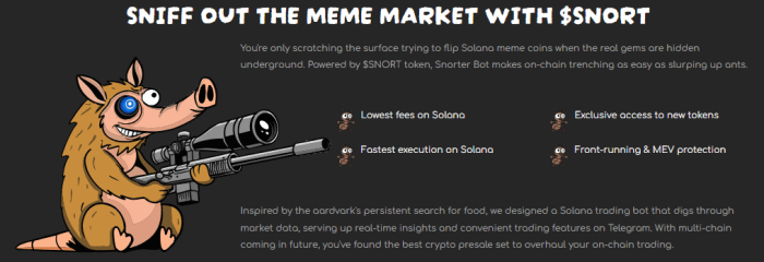 Snorter Token presale page