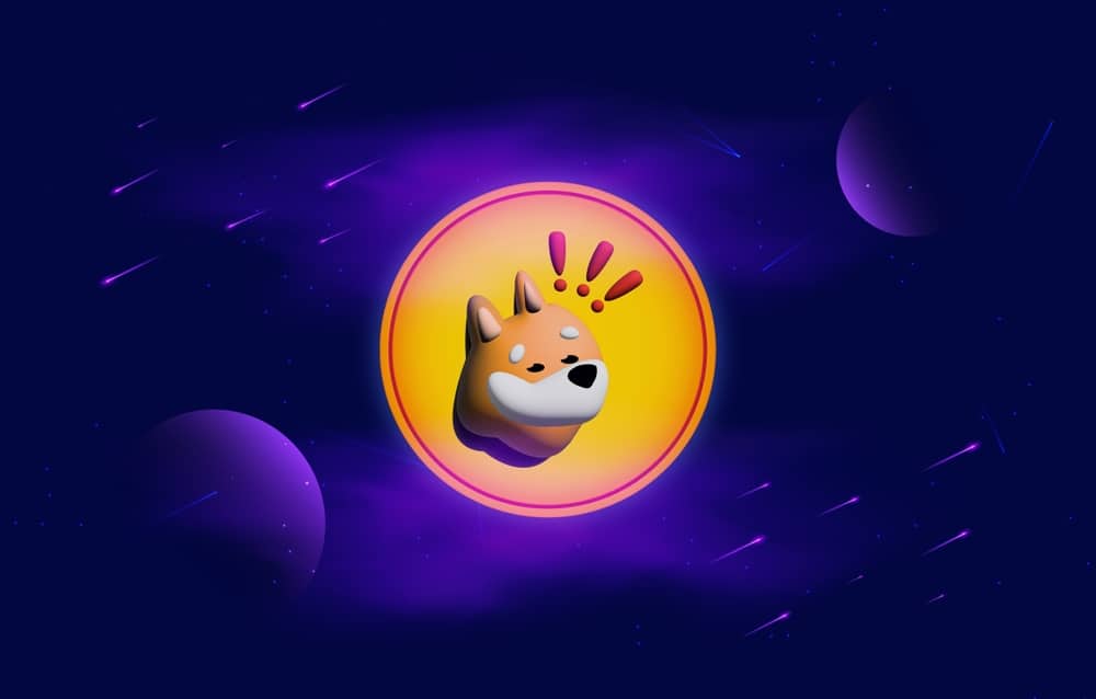 Bonk Soars as Useless Coin Pumps