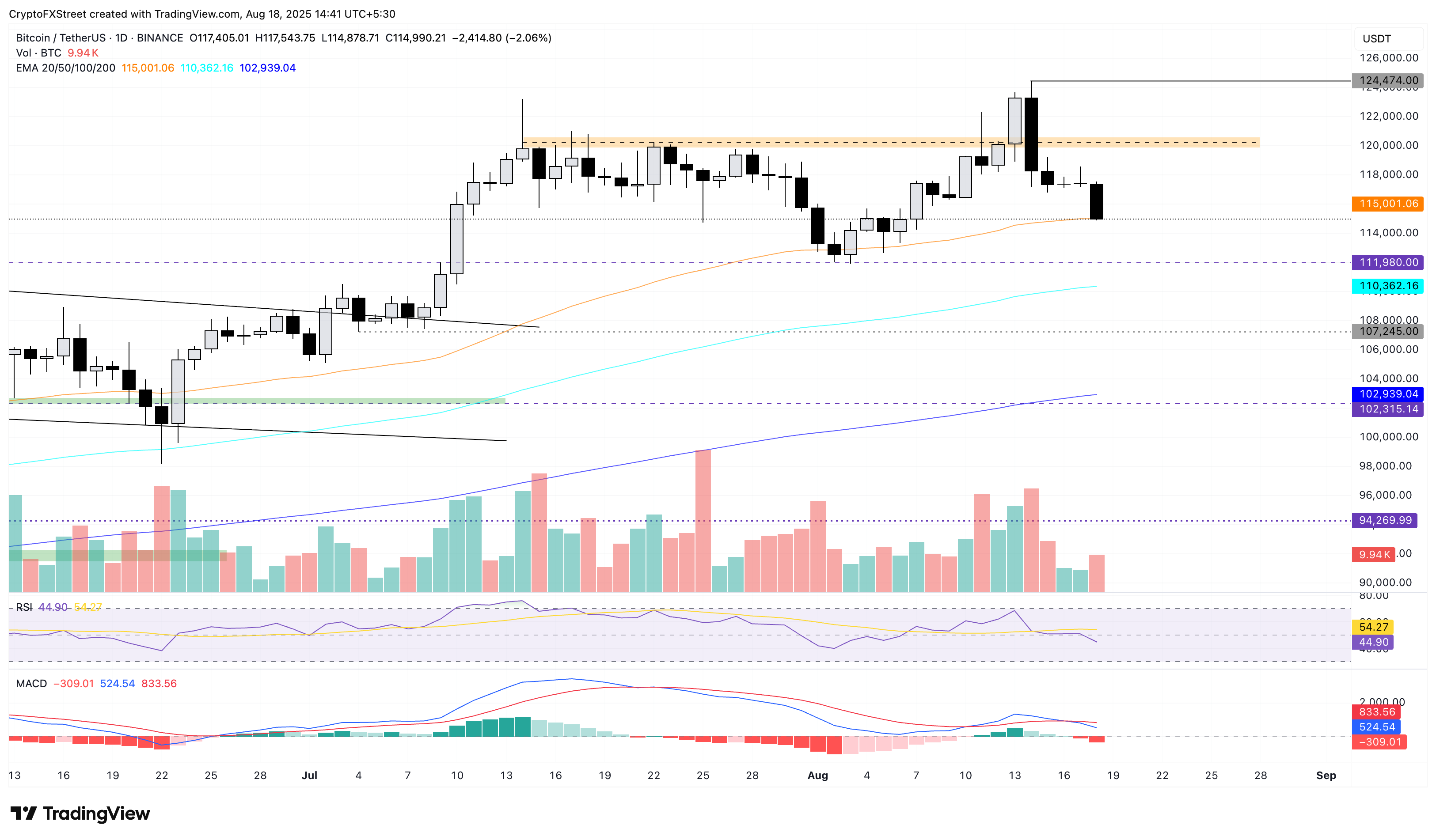 BTC/USDT Daily Chart