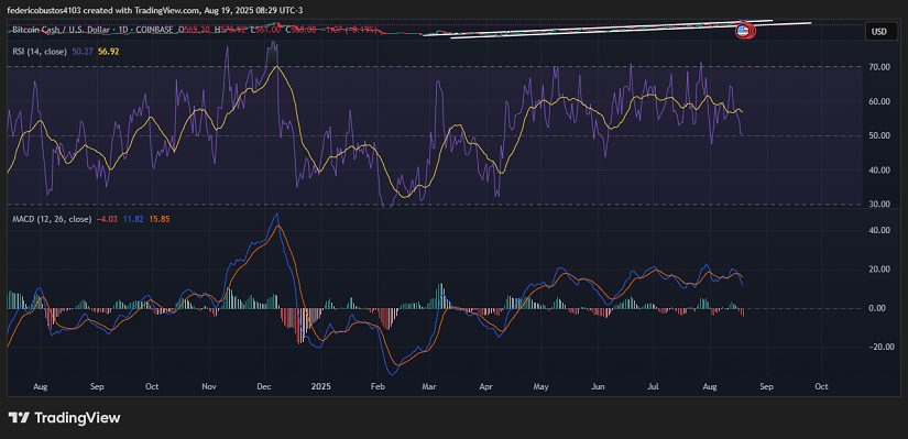 Chart 2: Bitcoin Cash