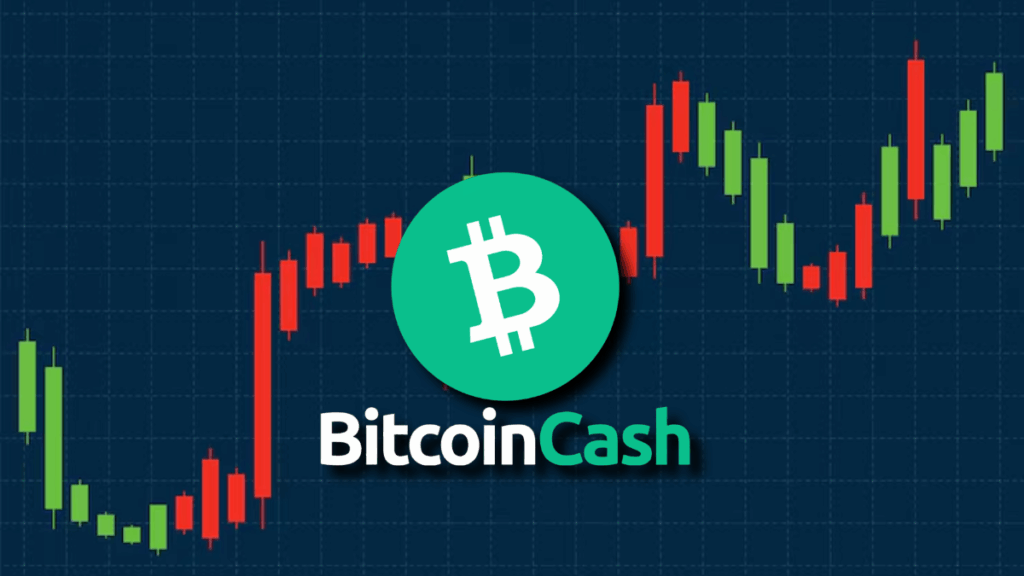 BCH Price: Bull Break or Bear Trap at $500?