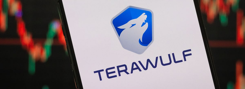 TeraWulf Company