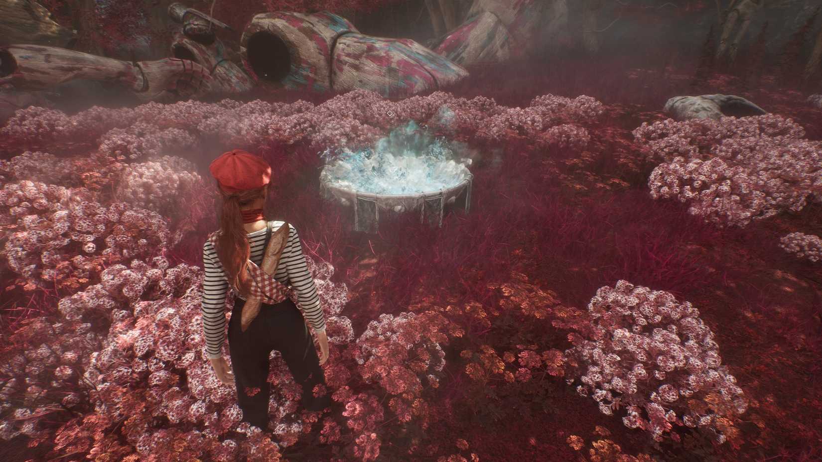 White Nevron Benisseur in Red Woods