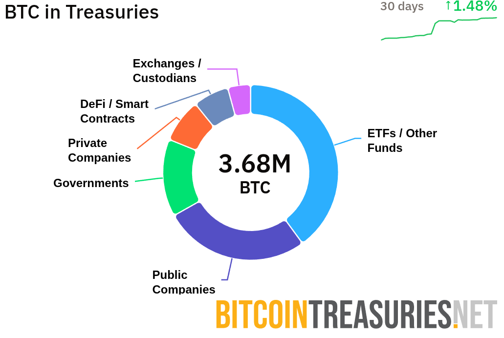 Bitcoin Treasuries Total Bitcoin Treasuries