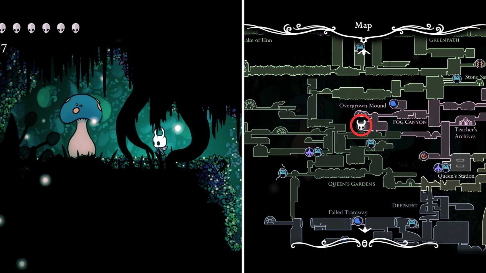 Fog Canyon Mister Mushroom