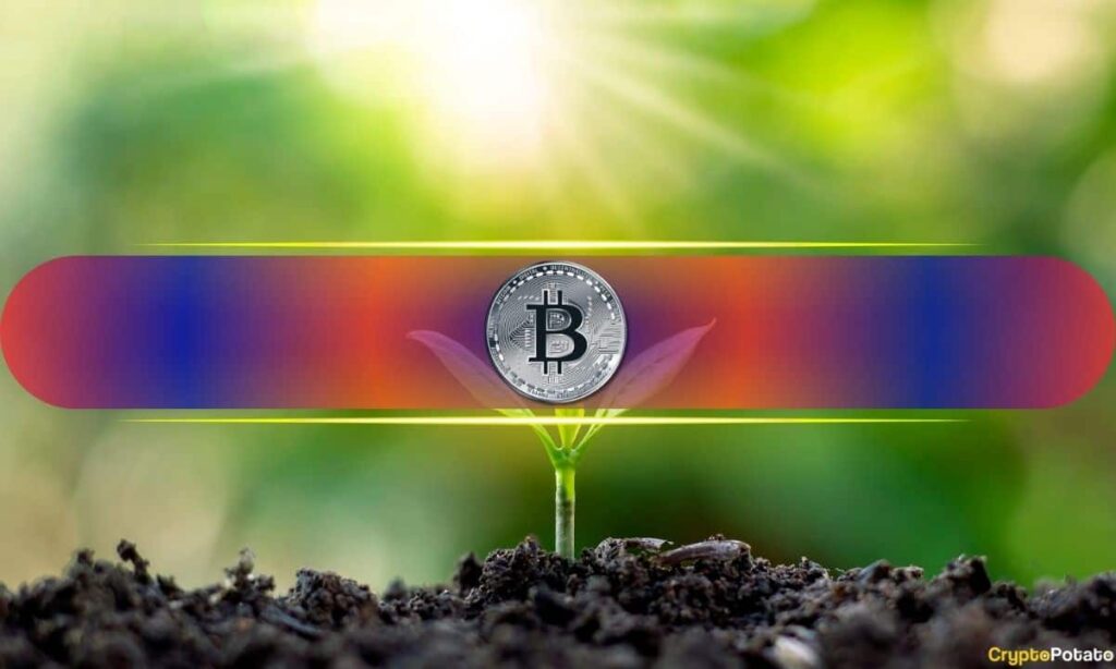 Bitcoin’s Cool Run: $123K and Still Chilling