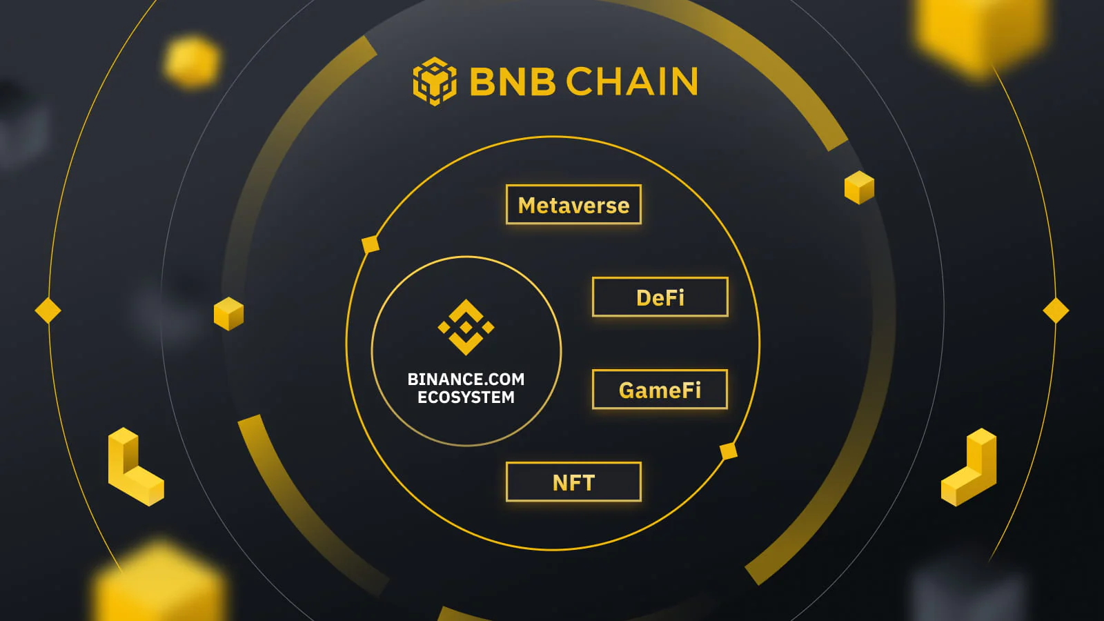 What is BNB Used For?
