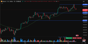Bitcoin price prediction