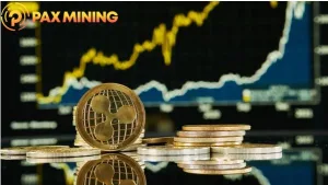 Mine Your Fortune: PAXMINING Cloud Mining
