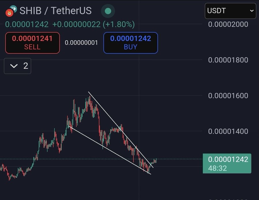 Shiba Inu Price Analysis: Bullish Pattern Identified