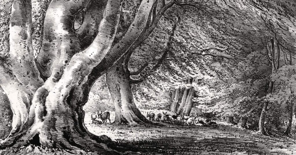 Weekend Warriors: Game On!