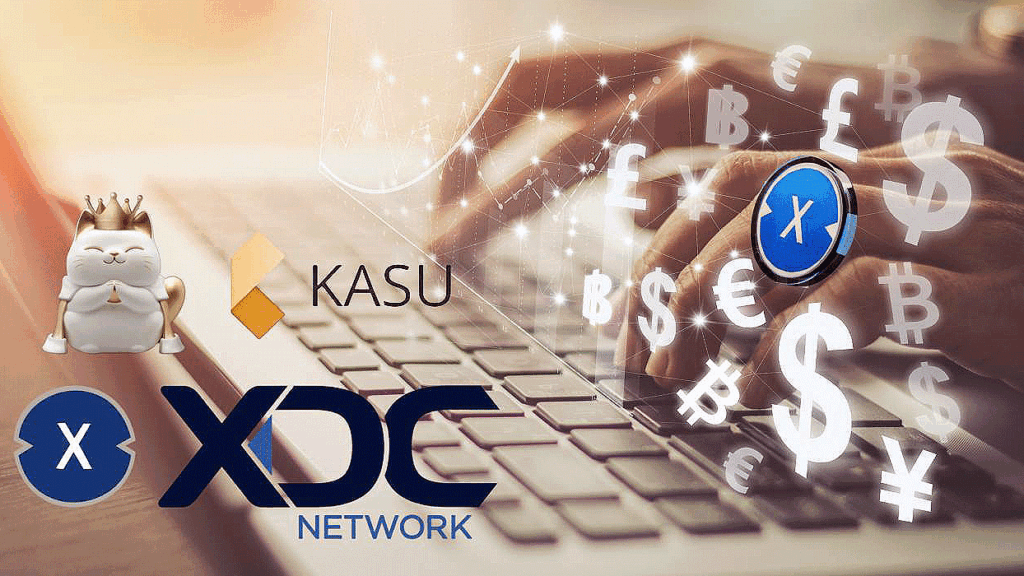 XDC’s DeFi Leap: Interview on Kasu Finance Investment