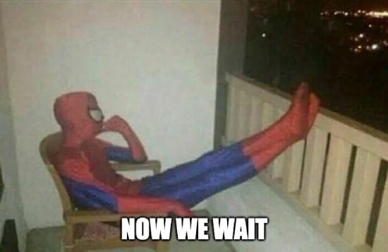 Spiderman patiently waiting