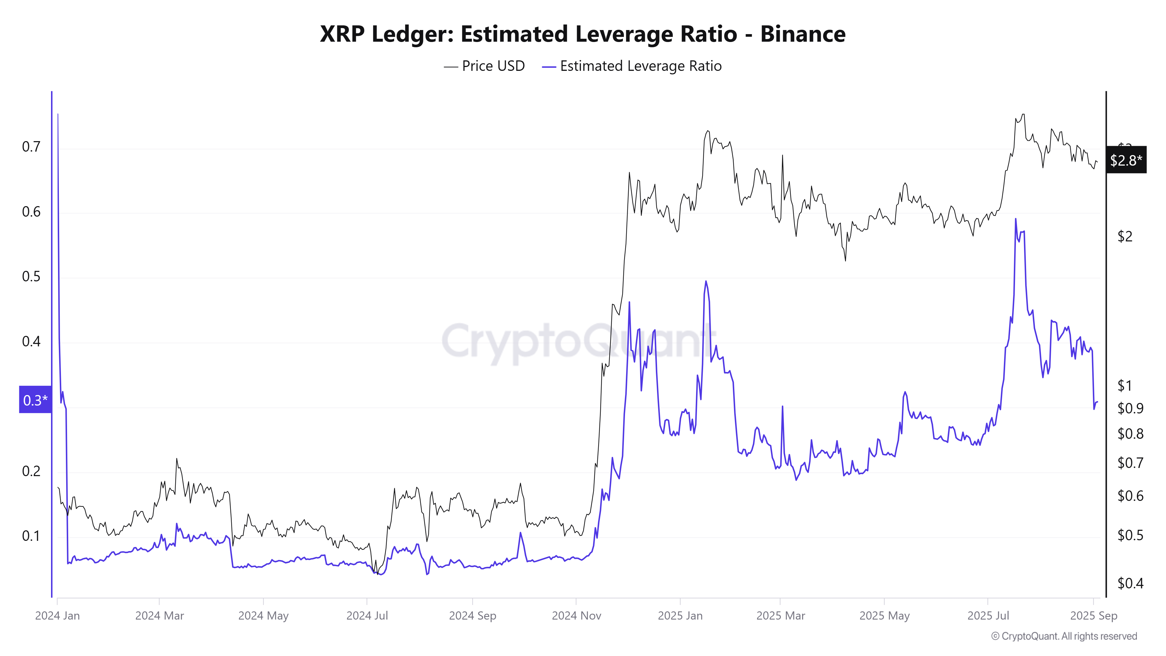 XRP estimated leverage ratio on Binance