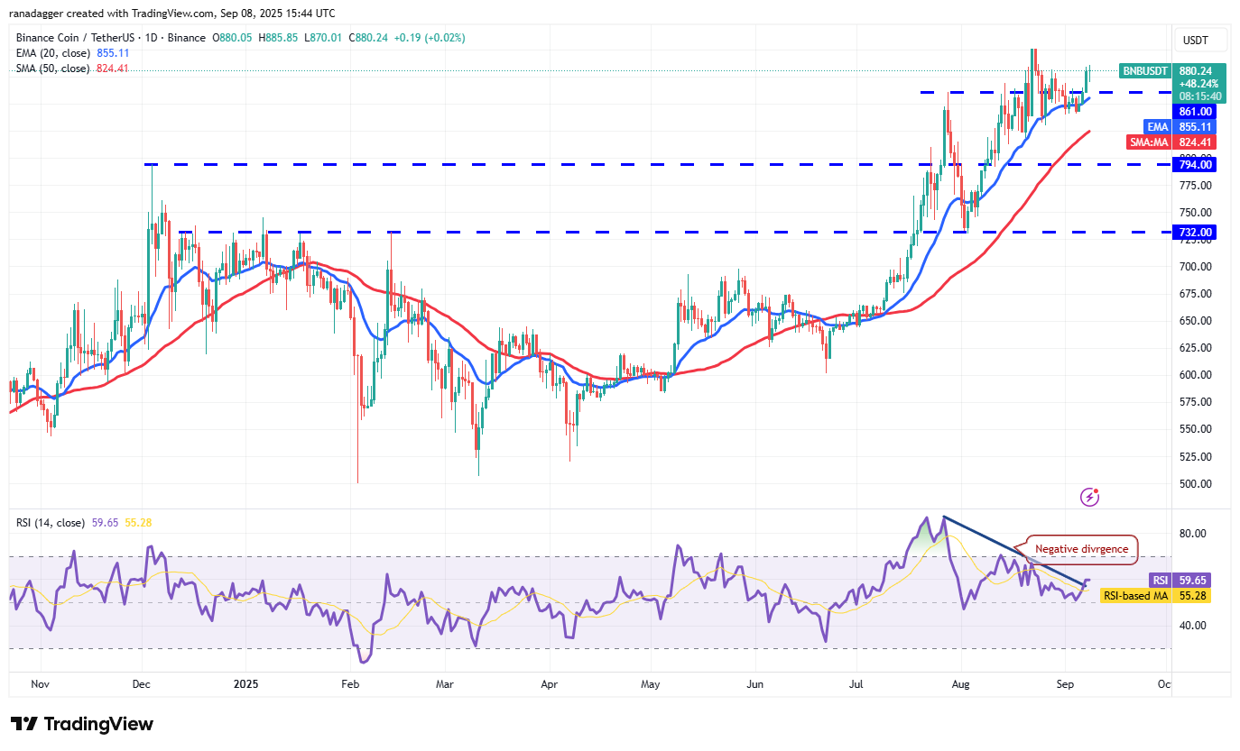BNB/USDT Chart: Binance Coin Price Forecast
