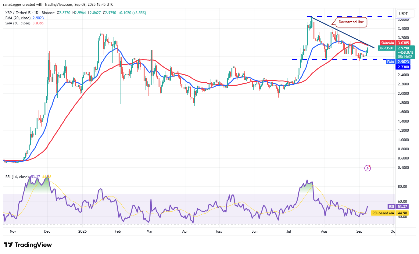 XRP/USDT Chart: Ripple Price Analysis and Prediction