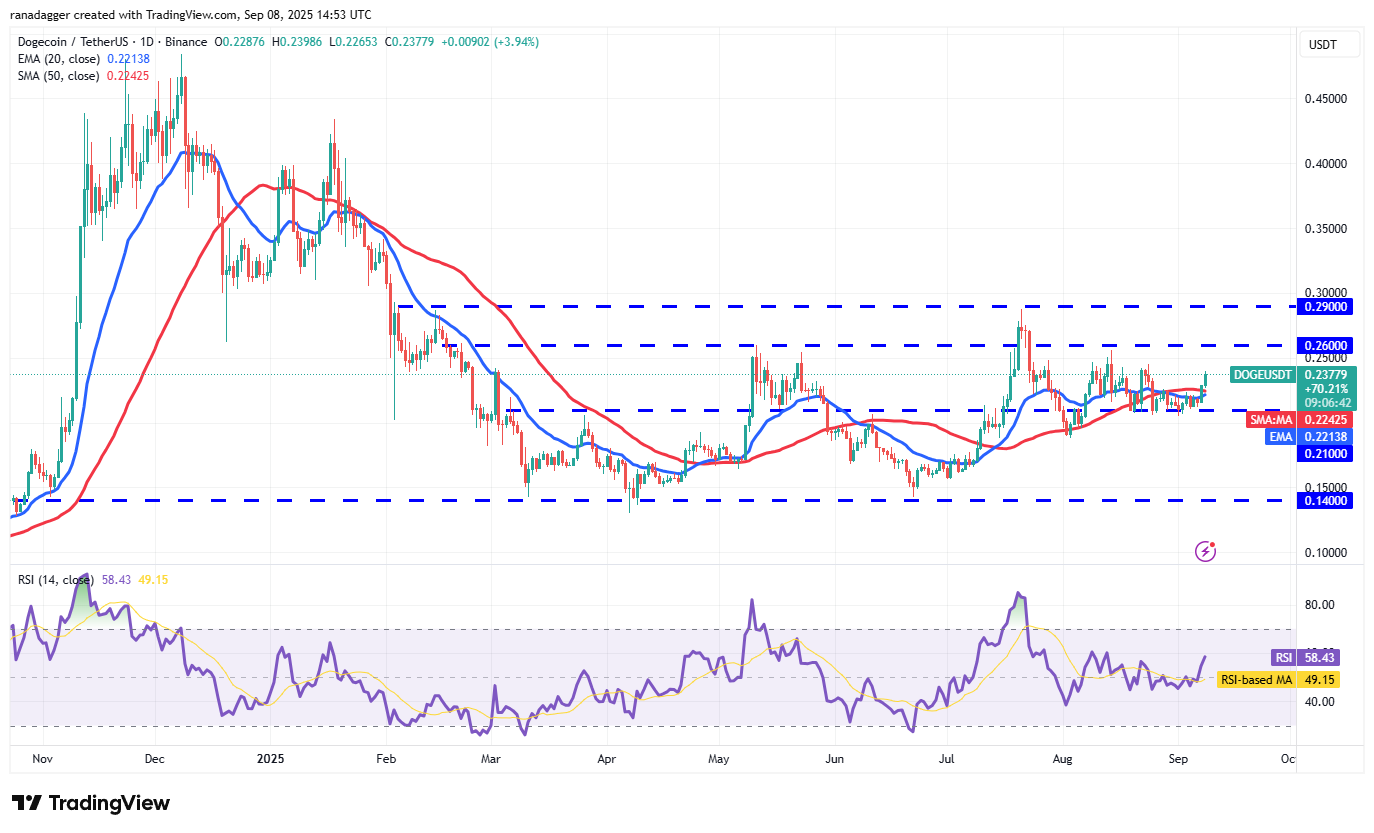 DOGE/USDT Chart: Dogecoin Price Forecast and Technical Outlook