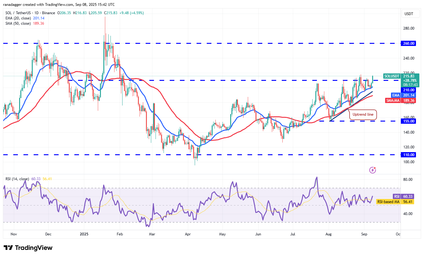 SOL/USDT Chart: Solana Price Prediction and Technical Analysis