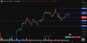 Bitcoin price prediction