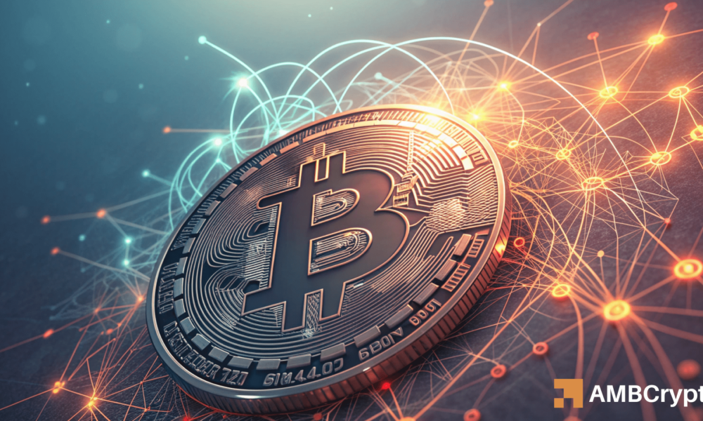 Bitcoin’s Whale Watch: Undervalued Signals?