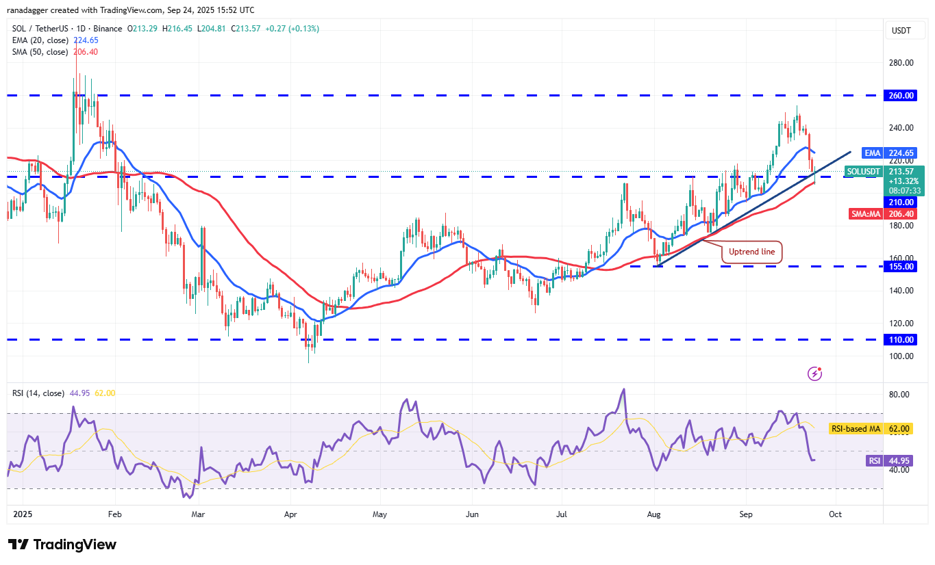 Cryptocurrency market data, Solana Price chart, Crypto Markets, United States, Cryptocurrency Exchange, CNBC, Price Analysis, Market Analysis, MicroStrategy, Whale activity, Bitcoin ETF, ETF, Michael Saylor