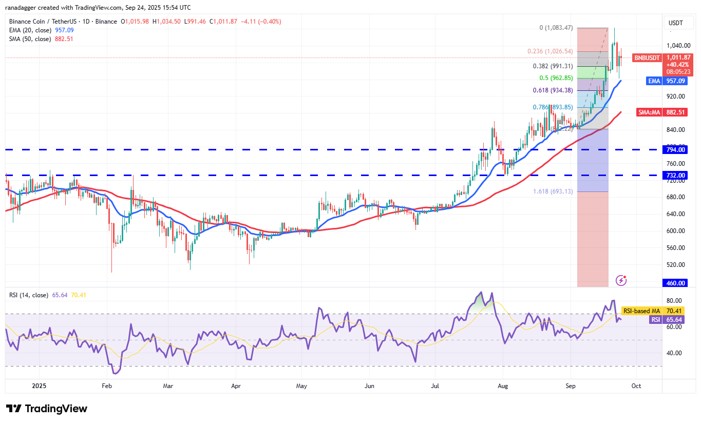 Cryptocurrency market data, BNB Price chart, Crypto Markets, United States, Cryptocurrency Exchange, CNBC, Price Analysis, Market Analysis, MicroStrategy, Whale activity, Bitcoin ETF, ETF, Michael Saylor