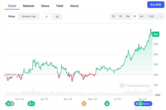 BNB one-year price performance.