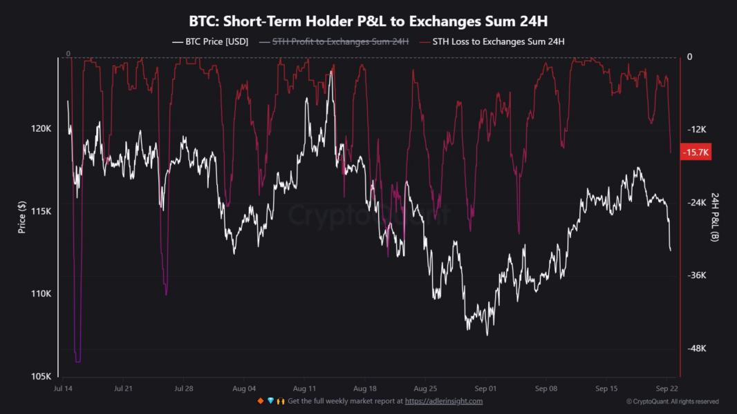 Bitcoin STHs Loss Taking