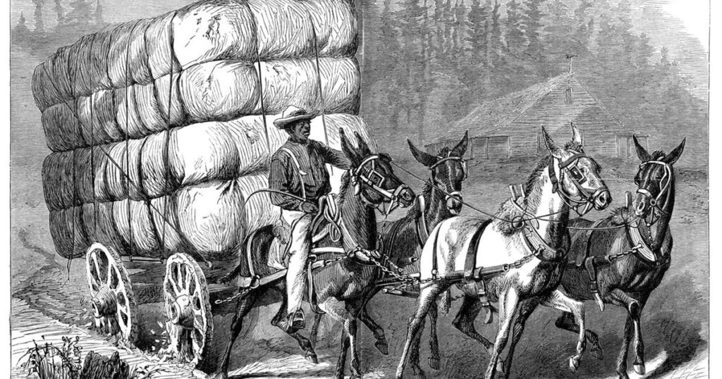 Weekend Warriors: Game On!