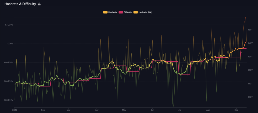 Bitcoin difficulty and hashrate (Source: mempool.space)