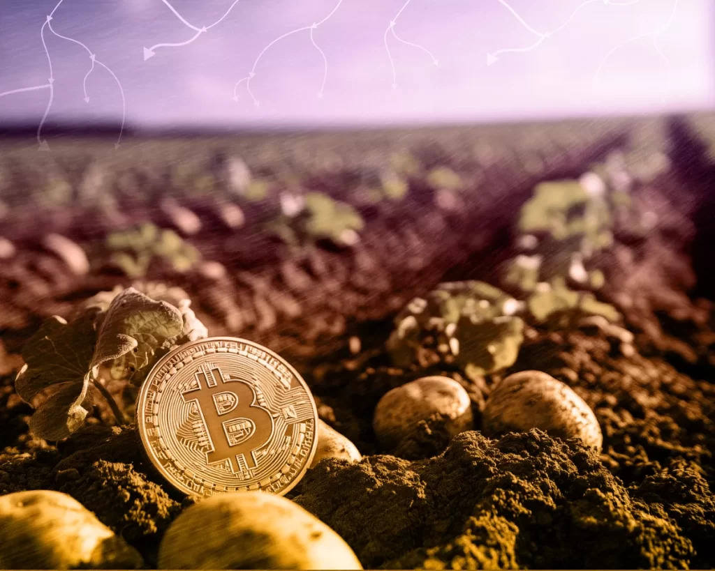 Belarus: Crypto Frontier