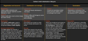 carbon credit tokenization lifecycle PwC