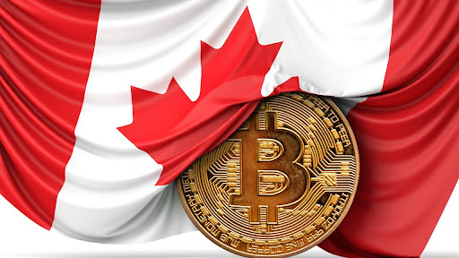 Crypto Compass: Canadian Traders Chart Their Course