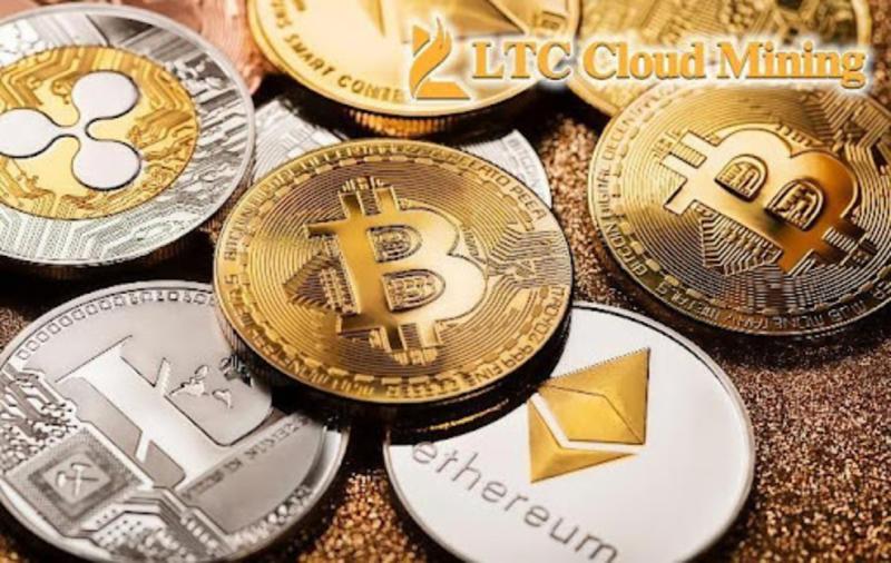 Daily Crypto Power-Up