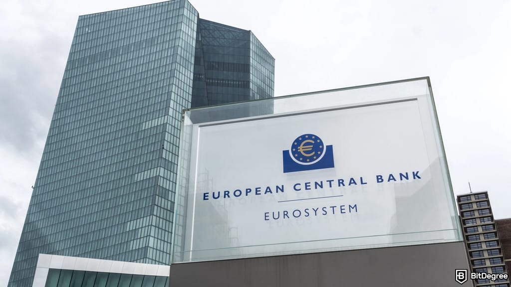 Digital Euro: 2029 Reality Check