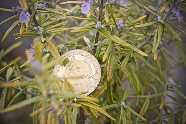 Dogecoin to $5: Analyst’s Trigger Warning