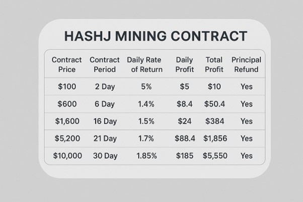 Hashj Profit Table