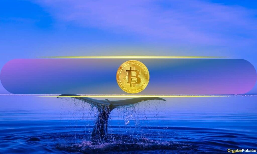 Tidal Shift: New Waves in Crypto 2025