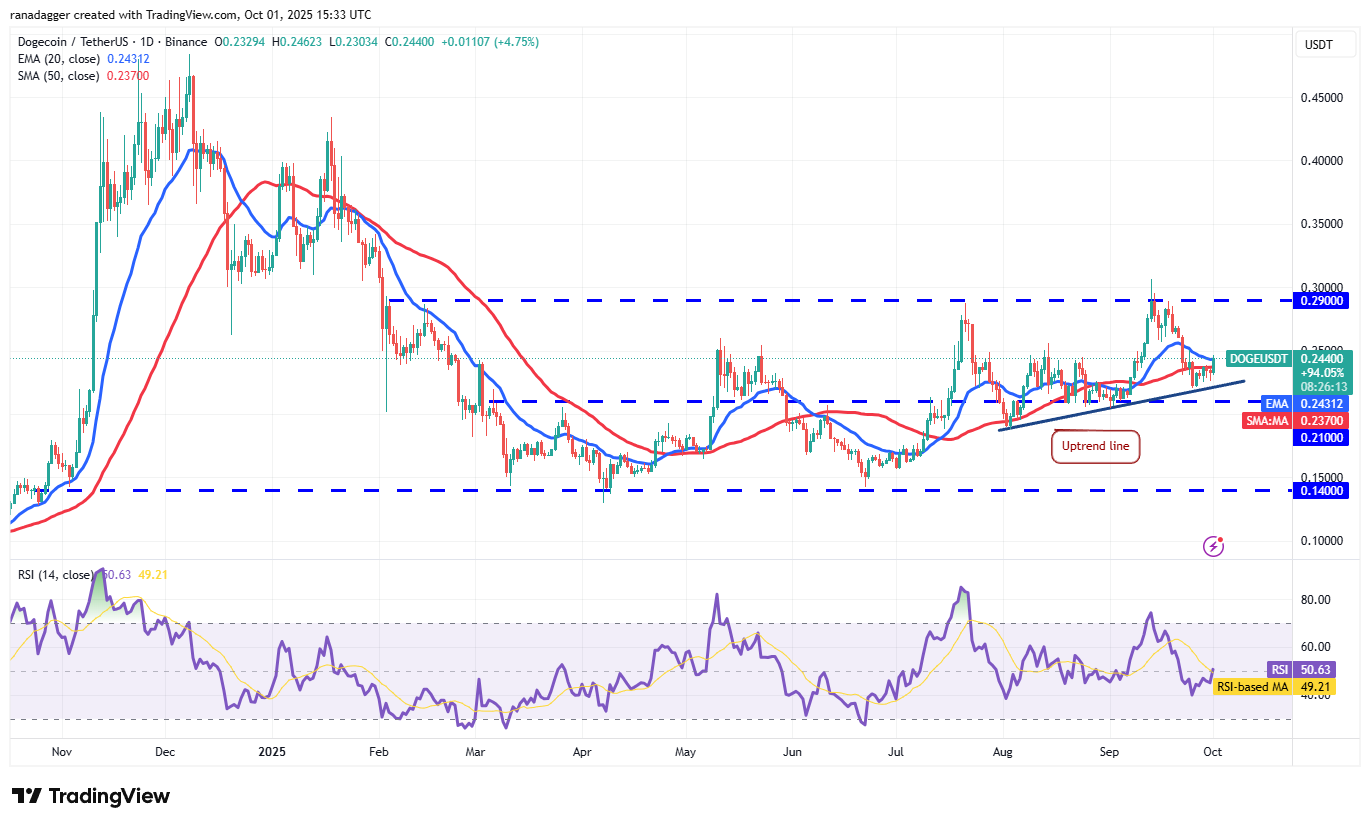 DOGE/USDT Price Chart