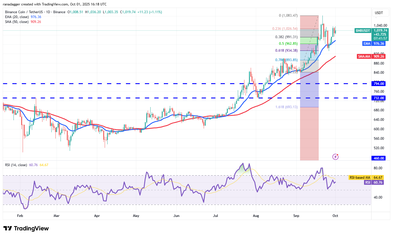 BNB/USDT Price Chart