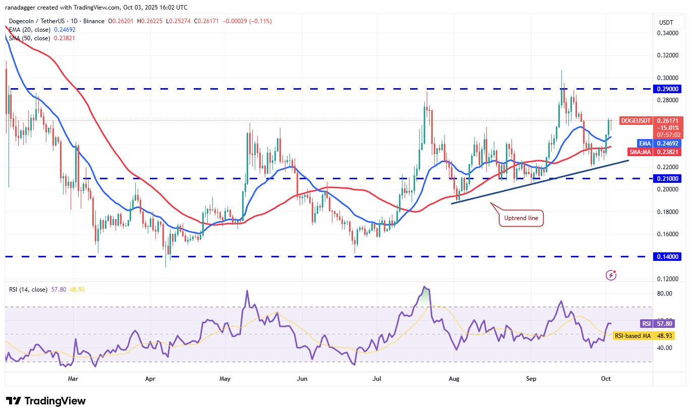 DOGE/USDT chart showing price analysis
