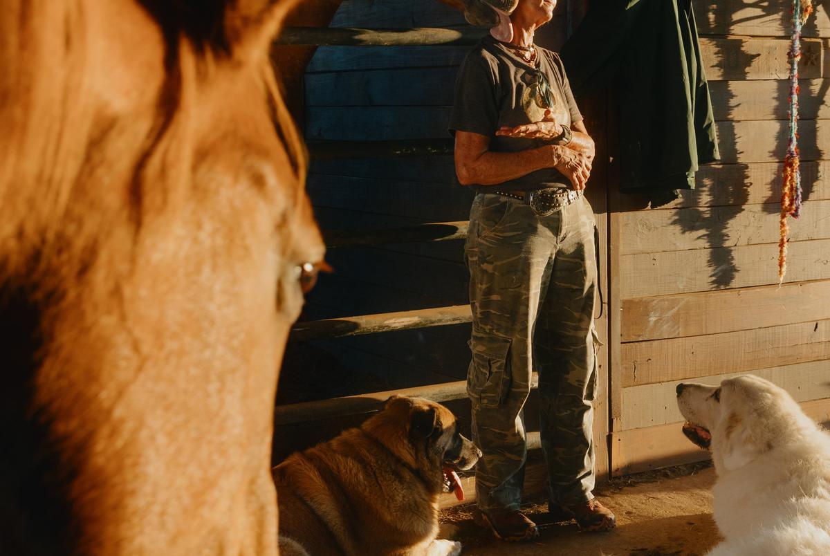 Cheryl Shadden offers treats to her horses on her land in Hood County on September 24, 2025. Shadden’s land, which she’s owned for 30 years, neighbors the Marathon cryptocurrency facility built in 2022.