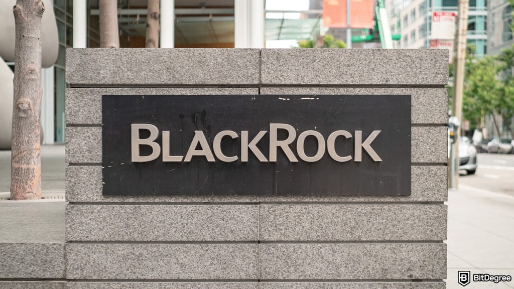 BlackRock Enters Stablecoin Race