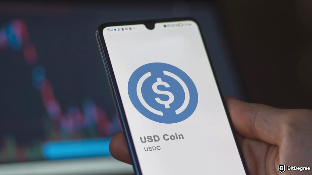 Euro Stable: Deutsche Börse’s Circle Vision